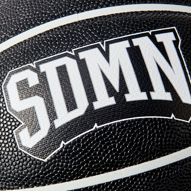 SDMN VARSITY BASKETBALL